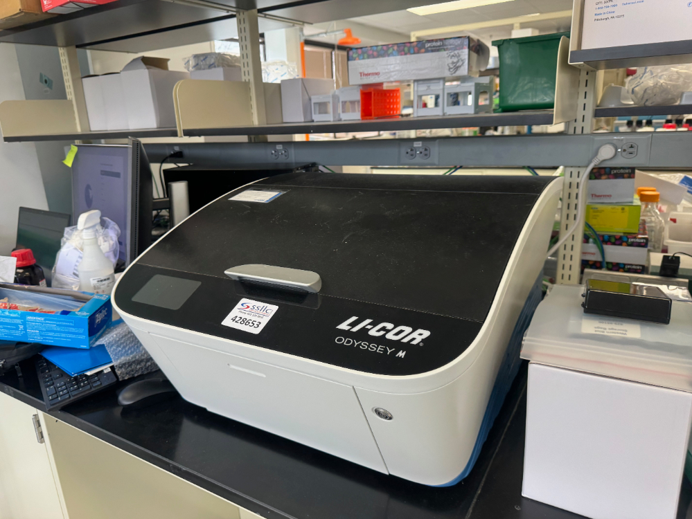 Image of Li-Cor Odyssey M Imaging System